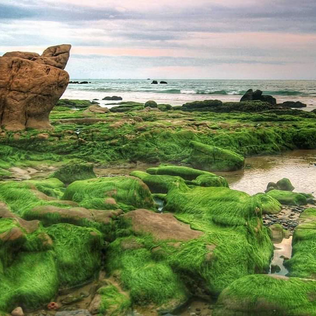 Cảnh đẹp Mũi Né