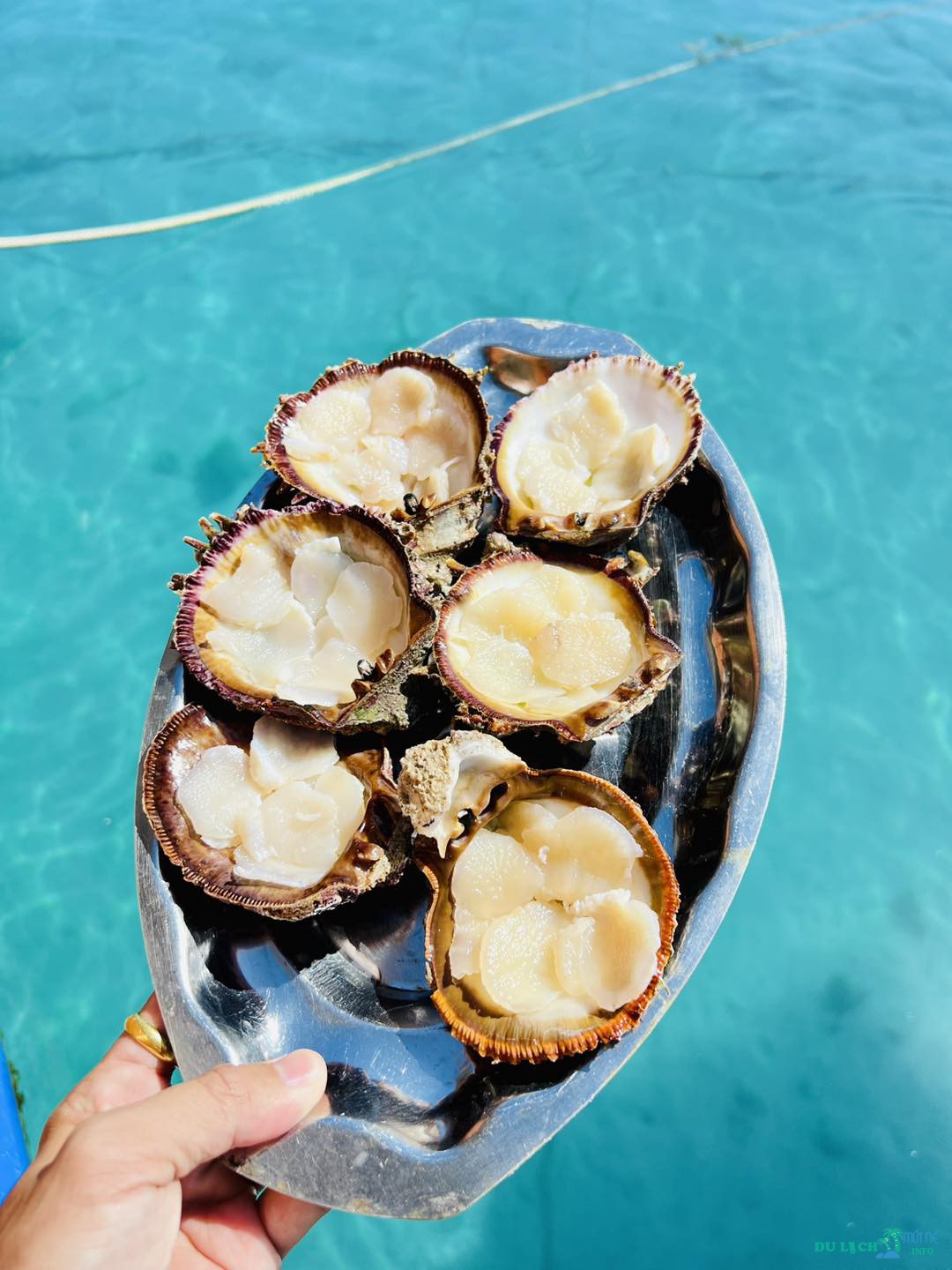 Hòn Tranh đảo Phú Quý